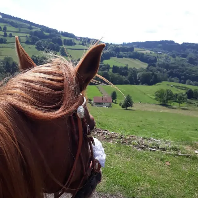 TRACE EQUESTRE DES BALLONS COMTOIS_1