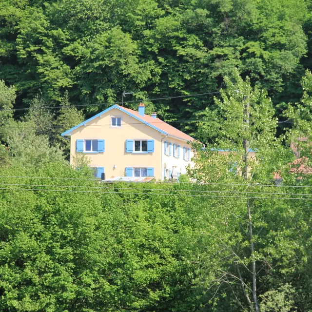 LA MÉSANGE BLEUE_5