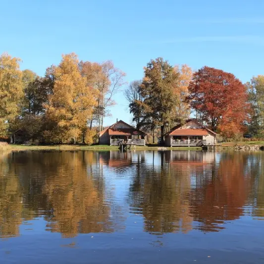 CHALET LE NENUPHAR - DOMAINE DE LA PATTE D'OIE_1