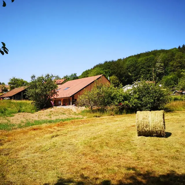LA FERME DES POTETS_1
