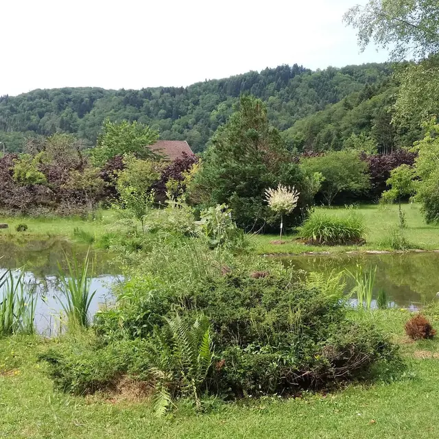 LES CAPUCINS_1