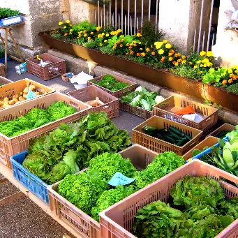 LES JARDINS DE VAUVENISE_1