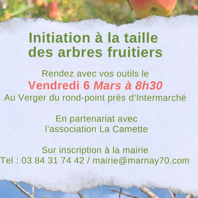 Taille des fruitiers - Mairie de Marnay