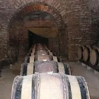 Domaine viticole de Motey-Besuche