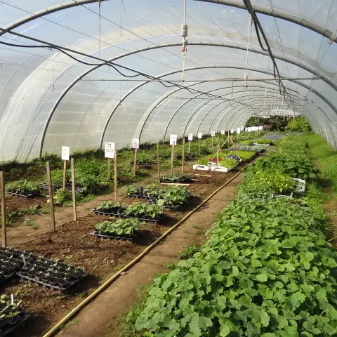 La Ferme du Chemin d'Acey