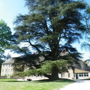 Parc Maison Pour Tous
