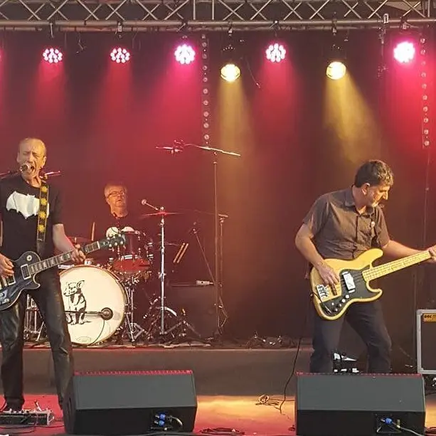 L'oreille du chien groupe
