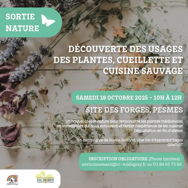 Sortie Nature Pesmes