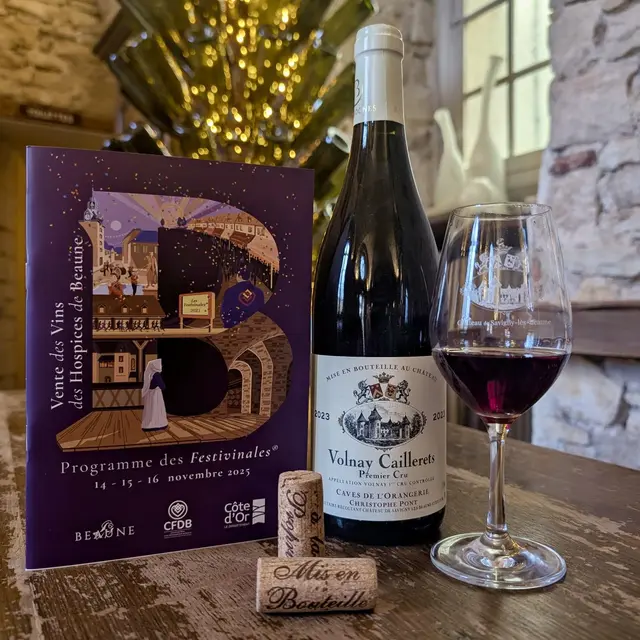 581153738_1259481796216081_4841689037774041997_n