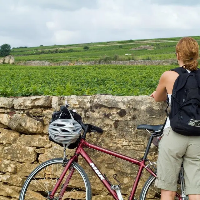 Cycliste muret