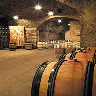 Cave de 1880