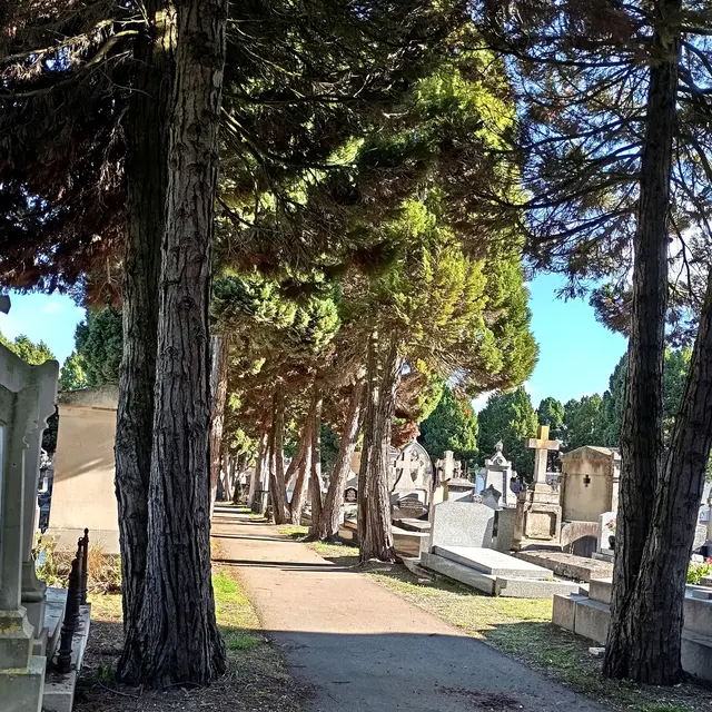 Le cimetière Saint Amâtre, un chef-d’œuvre du XIXe