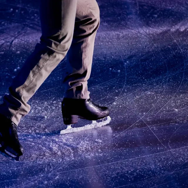 Patin