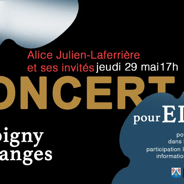 Affiche du concert