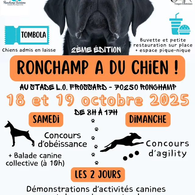 Copie de Ronchamp a du chien ! #2_20250820_162126_0000-1