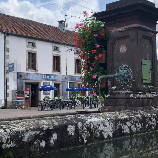 Cafe-des-3-fontaines-image-bar-fleuri-jpg