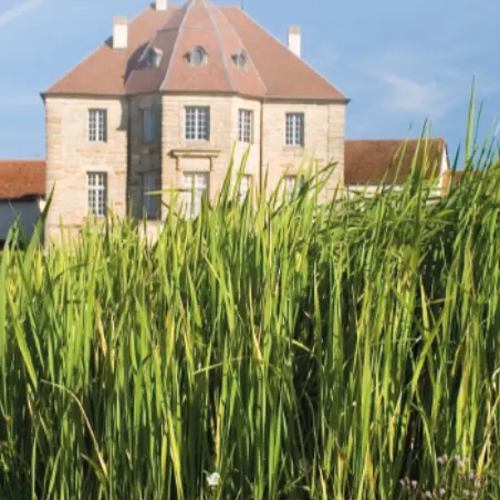 Capture d'écran 2025-06-18 144710