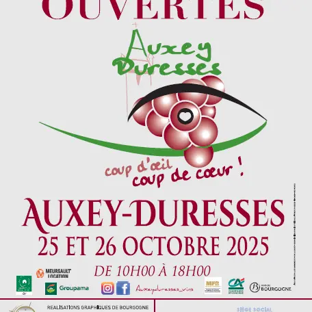 Coup d'oeil coup de coeur - 2025