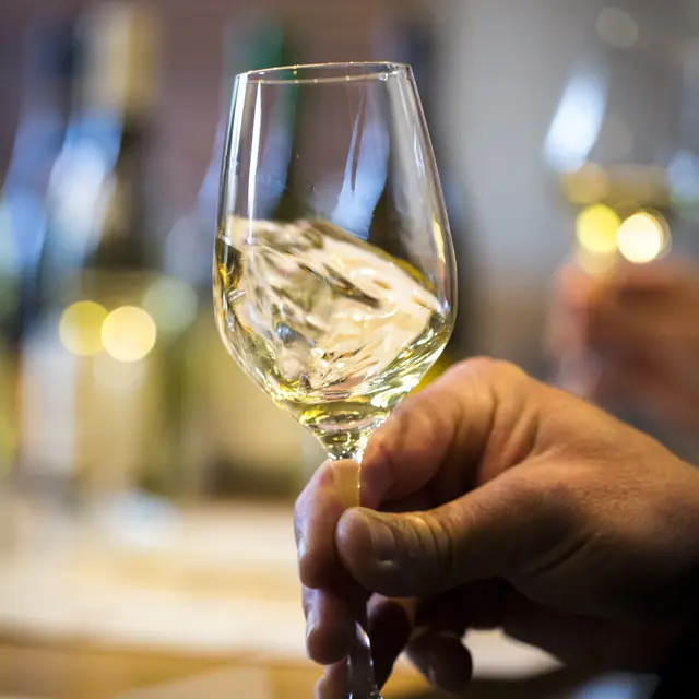 Dégustation de Chablis