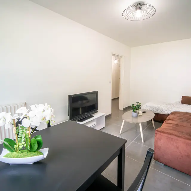 Chalon - MT Cavelier - Bienvenue chez Damien - Salon