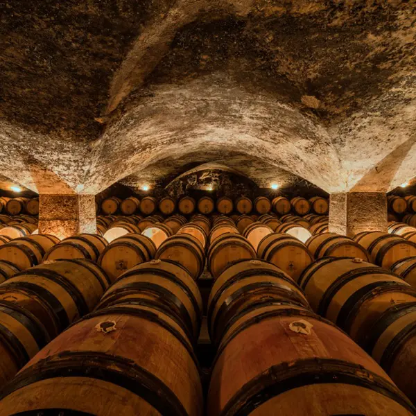 Château de Meursault 5