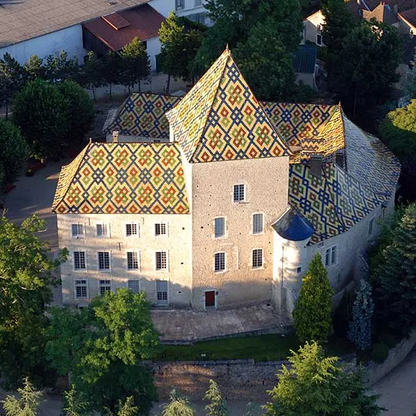 Chateau-de-Santenay-3