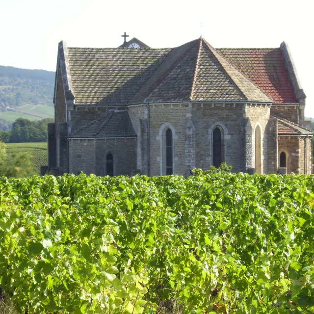 Cheilly-les-Maranges-eglise-2009-OT