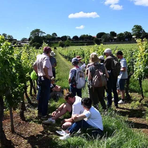 La clé des sols - Karoline Knoth et Françoise Vannier