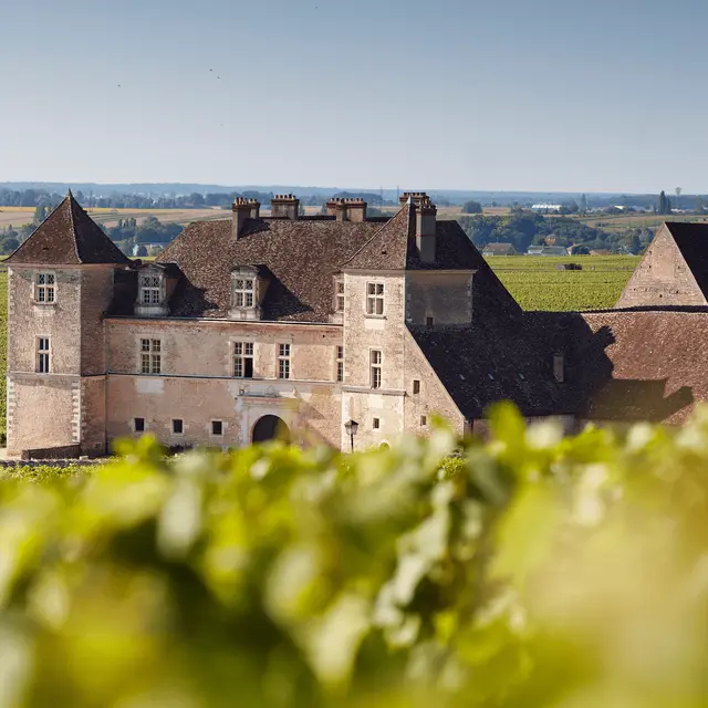 Clos-Vougeot-SergeChapuis