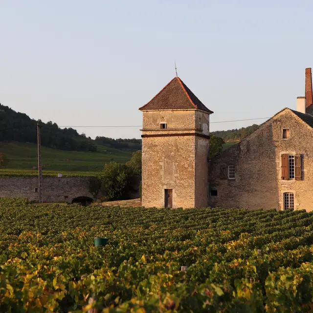 Clos du Moulin Aux Moines