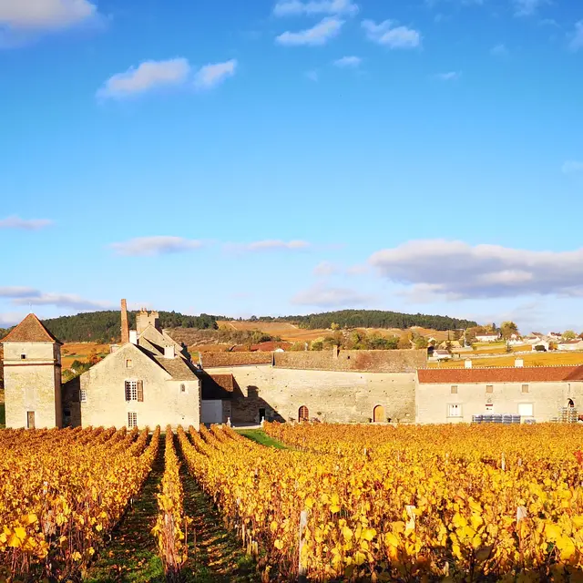 Clos du Moulin aux Moine, vue d'automne