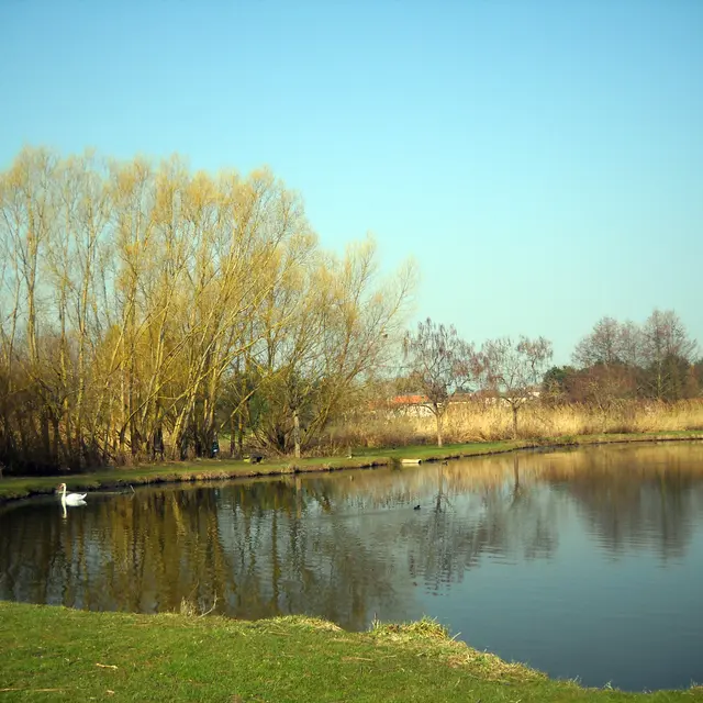 Crissey - Lac - 2021 (1)