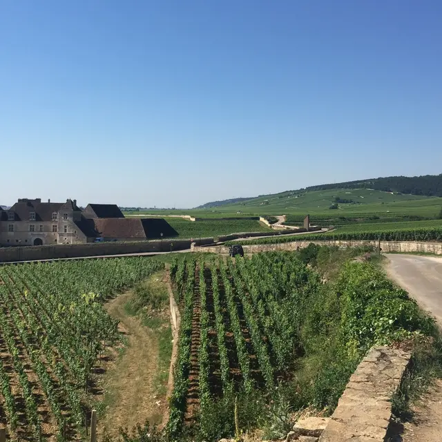 A chacun son escapade 1
