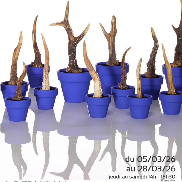 A6-FLYER-christophe Curien