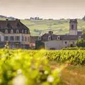 ALOXE CORTON