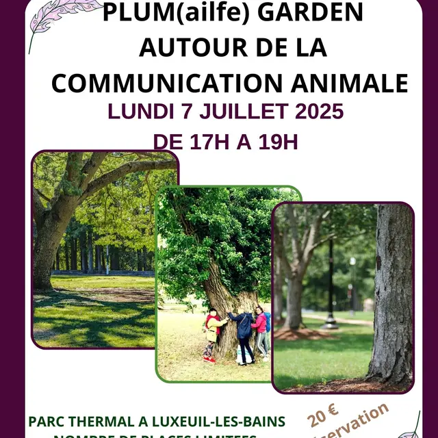 ATELIER RENCONTRE COMMUNICATION ANIMALE LUXEUIL LES BAINS PLUMES D'ANGES juillet