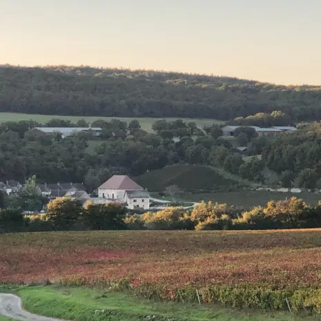 AUBIGNY - Vue de Mercurey