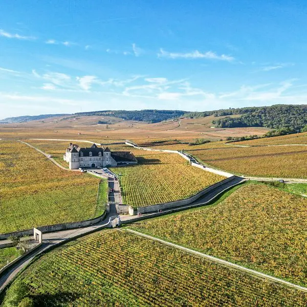 Château du Clos de Vougeot