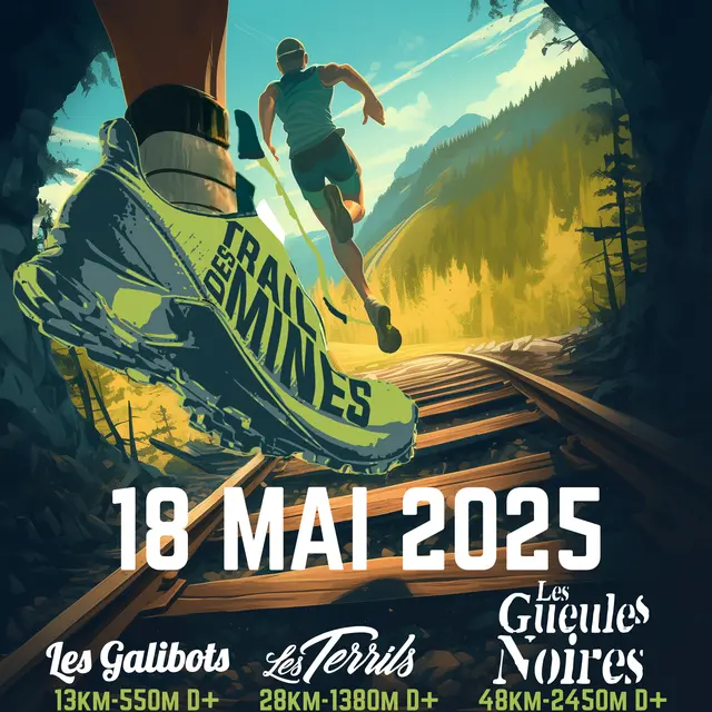 Affiche TDM25