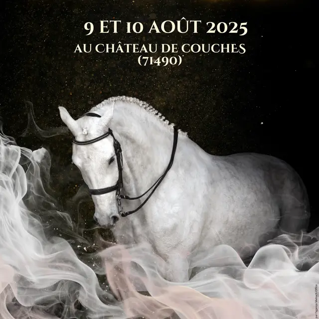 Les Spectaculaires - Affiche de l'évènement