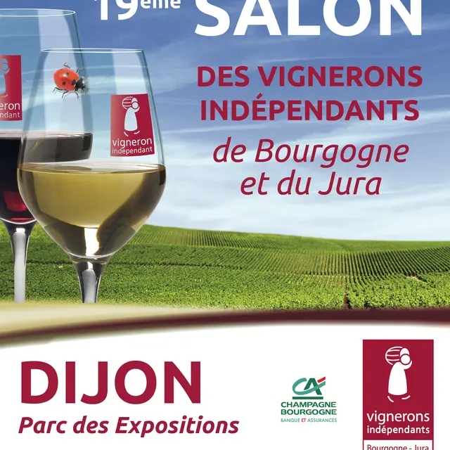 Affiche Salons