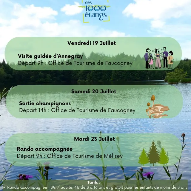 Affiches semaines animations période estivale - 2