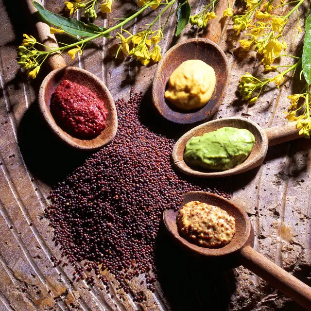 Atelier Moutarde - 4 moutardes