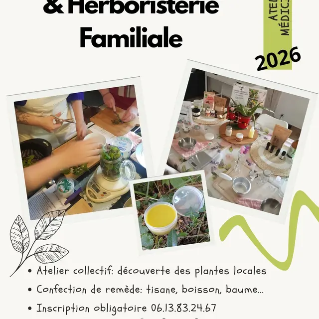 Atelier Plantes médicinales