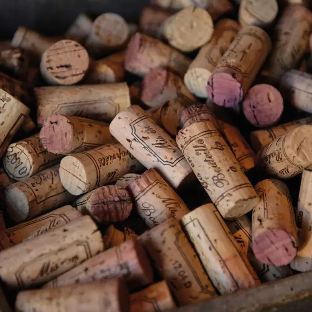 Au-paradis-du-pinot-noir-2