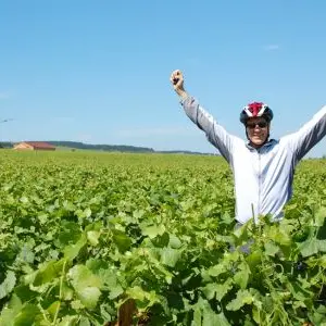 BURGUNDY DETOURS 2