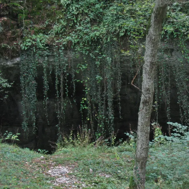 Baume Noire  27.7. 05 (3)