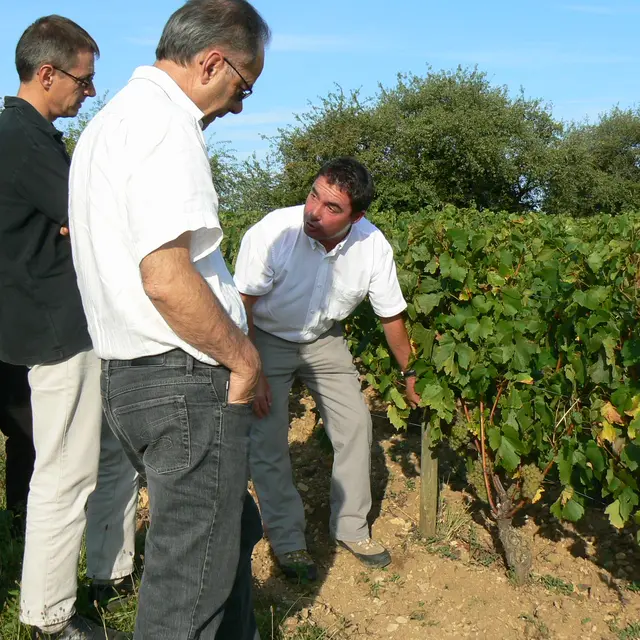 Balade Atelier Vigne et Vin