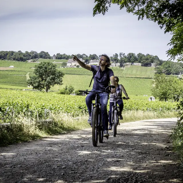 Balade Vélo Bois Chevaux