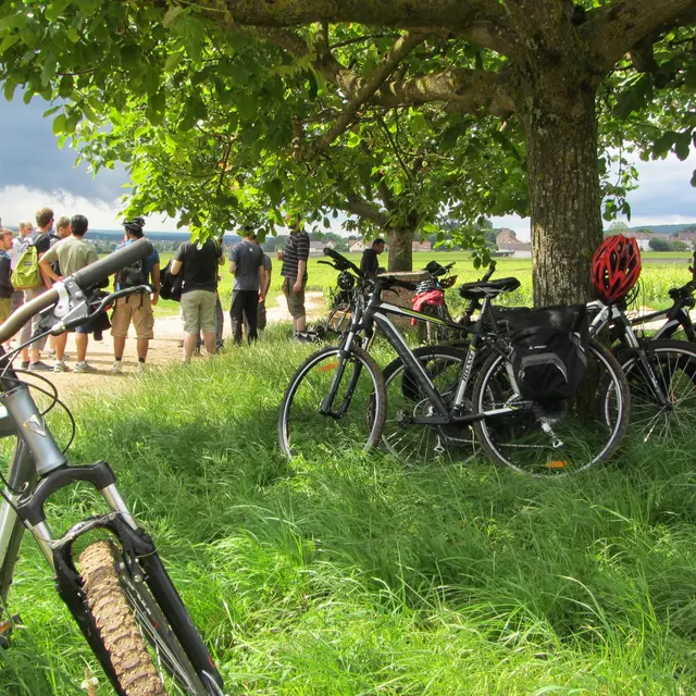 Balade-oenologique-Cote-de-Nuits